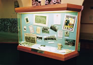 Display case at the museum